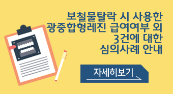 보철물탈락 시 사용한 광중합형레진 급여여부 외 3건에 대한 심의사례